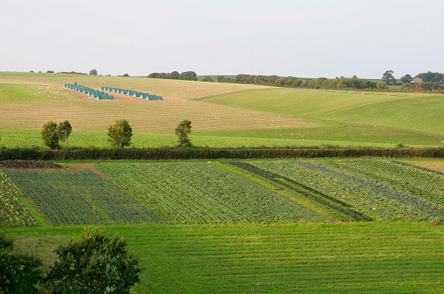 1649311376106118.png image.png